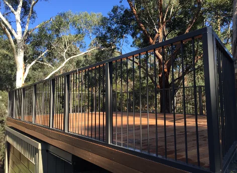 Shed and Roof Top Deck